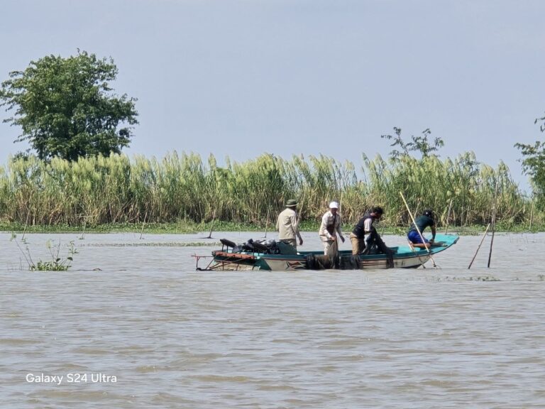 IMG_20251115_120732_621