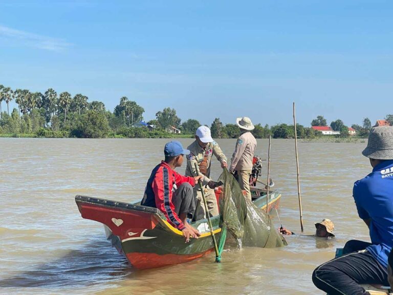 IMG_20251115_170445_266