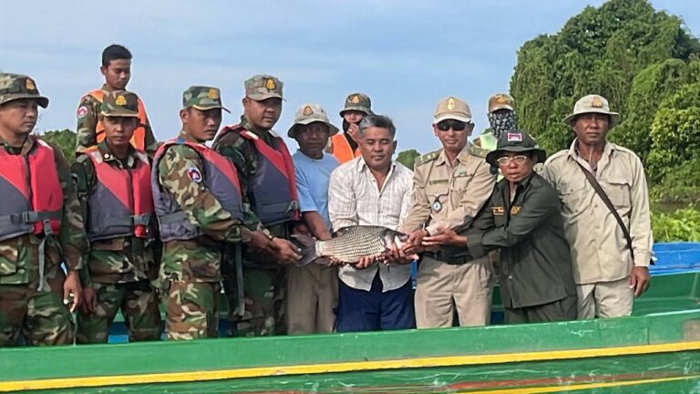 IMG_20251126_193410_115