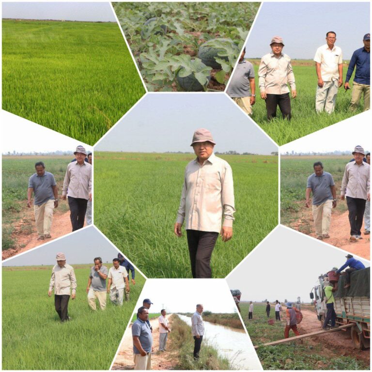 IMG_20260208_155810_832