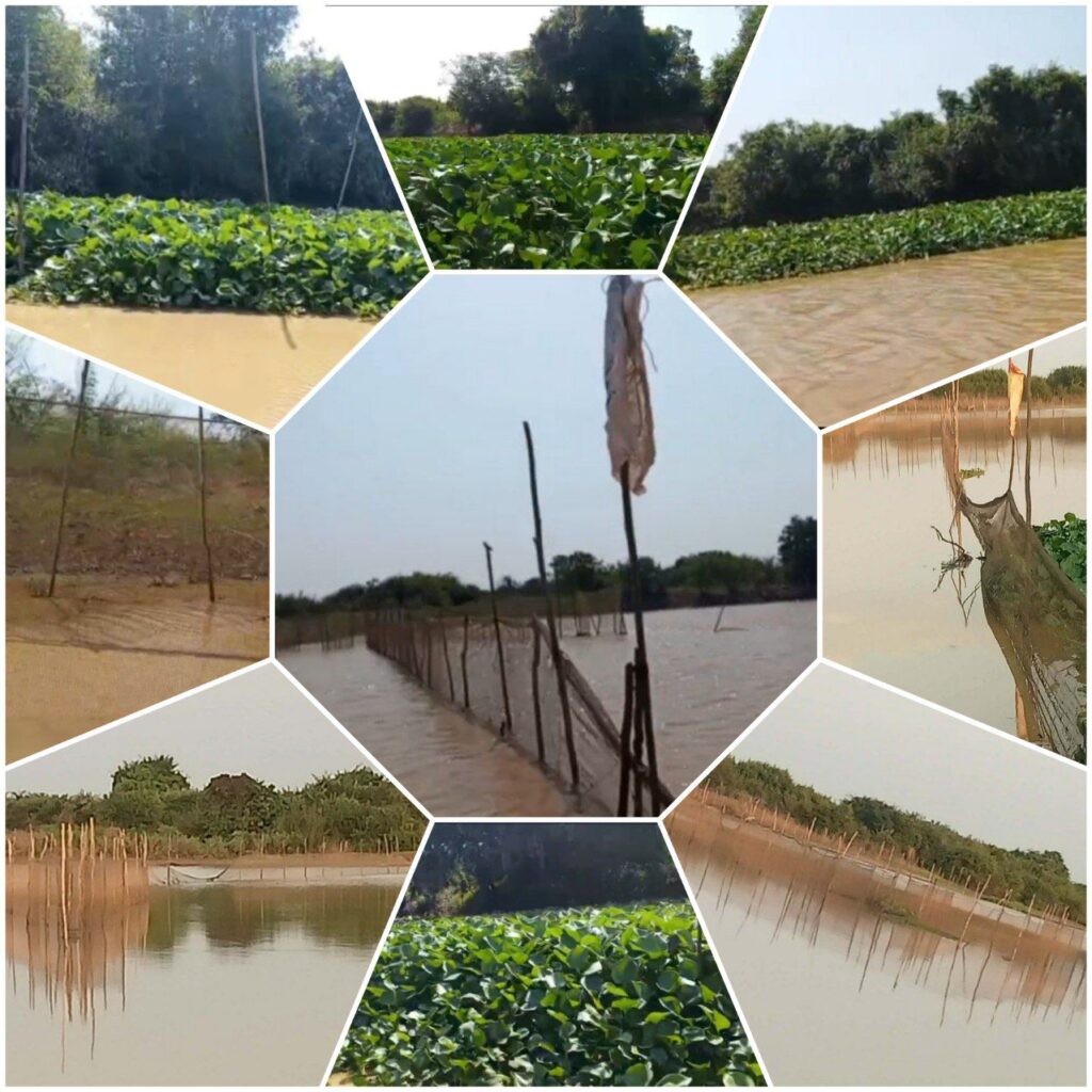 IMG_20260319_174954_282